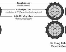 Hình ảnh về Cấu tạo dây cáp vặn xoắn nhôm bọc XLPE