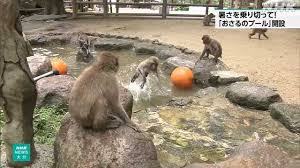 NHK - News update