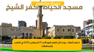 جريدة مانشيت - News update