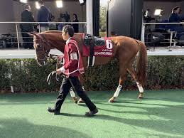 News source: Yahoo!ニュース