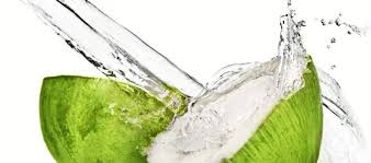 Resultado de imagem para água, água de coco
