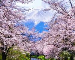 Image of Japan honeymoon