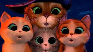 Image result for puss