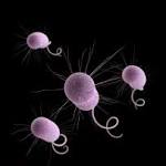  CDC: Drug-resistant 'nightmare bacteria' pose growing threat