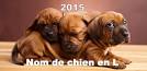 Calendrier des lettre pour chien 2015
