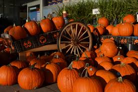 Halloween without alcohol, substance abuse