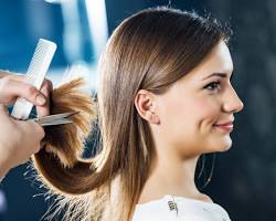 Image of hairdresser trimming hair