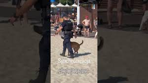 Komenda Miejska Policji w Gdyni - News update