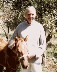 Image result for IRAN HORSES