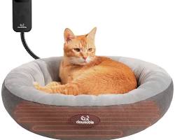 heated cat bedの画像