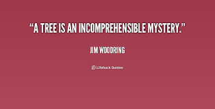 Incomprehensible Quotes. QuotesGram via Relatably.com