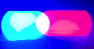 Minneapolis ICE Shooting and Subsequent Protests