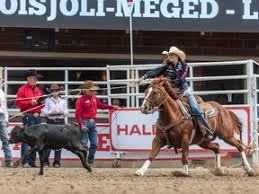 Calgary Herald - News update