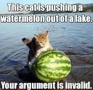 Your argument is invalid