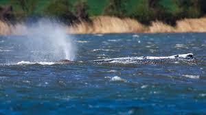 Das war Montag, der 20. April 2026