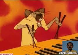 Image result for "that's racist"