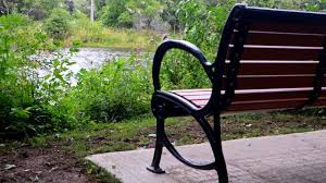 Guelph News - News update