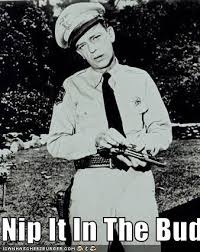 images?q=tbn:ANd9GcRHq3YYxPtDdNWMZmwf6Qm