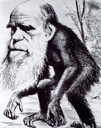 Image result for charles darwin as fool