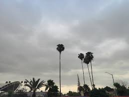 Activa Plan de Atención a Lluvias ante precipitaciones en la Laguna