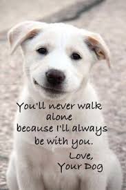 To Live By (Animal Quotes) on Pinterest | Animal Quotes, Animal ... via Relatably.com