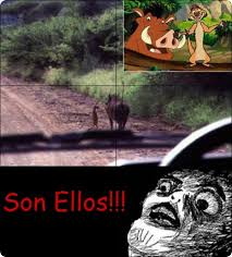 Resultado de imagen para memes chistosos