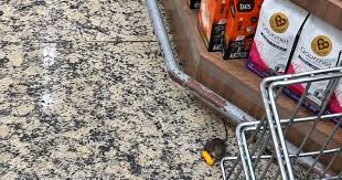 Rato é flagrado em supermercado de Itapuã, em Vila Velha