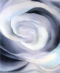 Image result for Abstraction White Rose