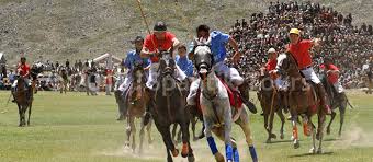 Image result for festival tours