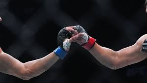 UFC Vegas 120: Louie Sutherland vs. Jose Montanha Da Silva Predictions & Odds