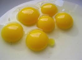 البيض للتخلص من الصلع النسائي! Images?q=tbn:ANd9GcRIBhQL4FIxcjldYuCmJodo-vh8RrC33V-hLdi8moiKZG2jfvKR