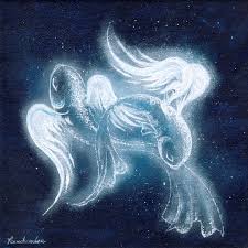 Image result for moonfish