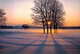 [Immagine: images?q=tbn:ANd9GcRIDQ3as_Z-HiIgfpbaNad...6nZwSxc33Q]