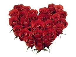 Chinese Valentine's Day