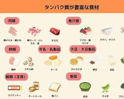 タンパク質が豊富な食品の画像