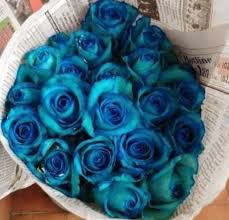 Image result for karangan bunga mawar biru