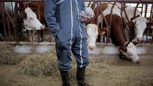 News source: Le Figaro