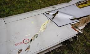 Image result for mh17 wings