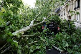 Le Figaro - News update