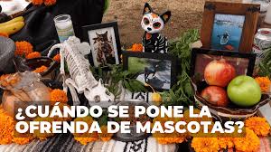 28 De Octubre Que Se Celebra