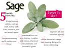 Sage leaves tea benefits