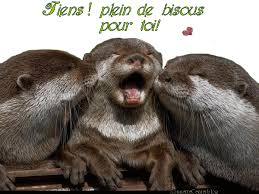 Résultat de recherche d'images pour "gifs sourire humour"