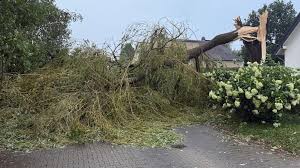Unwetter trifft Deutschland mit voller Wucht: Frau (58) von Baum erschlagen — BILD