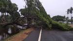 Cyclone Gaja updates Death toll