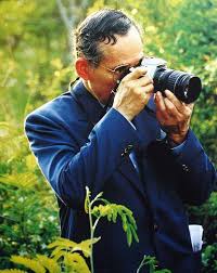 ผลการค้นหารูปภาพสำหรับ รูปในหลวง