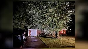 Tree falls on Eaton home, damages roof after storms moved through region