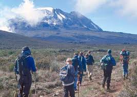 Image result for kilimanjaro mountain