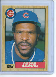 I don&#39;t care for the photo that Topps used for this card, but it&#39;s definitely a must have for any Andre Dawson fan! - ad87t