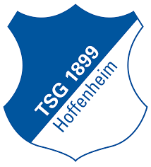 ผลการค้นหารูปภาพสำหรับ hoffenheim soccer