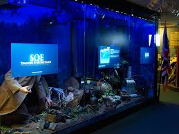 Image result for Millitary Intelligence Org